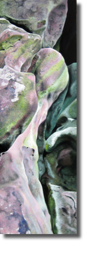 Rock Series 5 No.4 (2005)
30 x 90 cm
oil on canvas
(Sold)